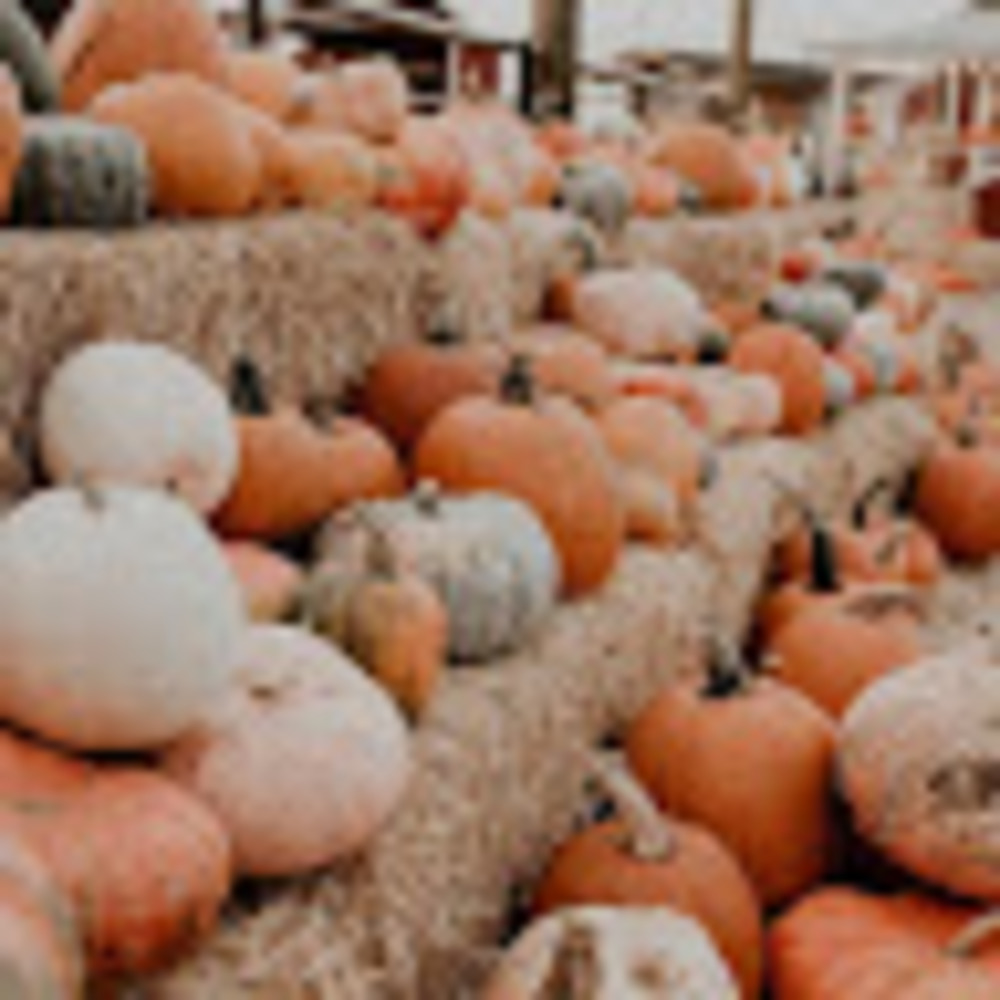 Meet your Posher, Jenny